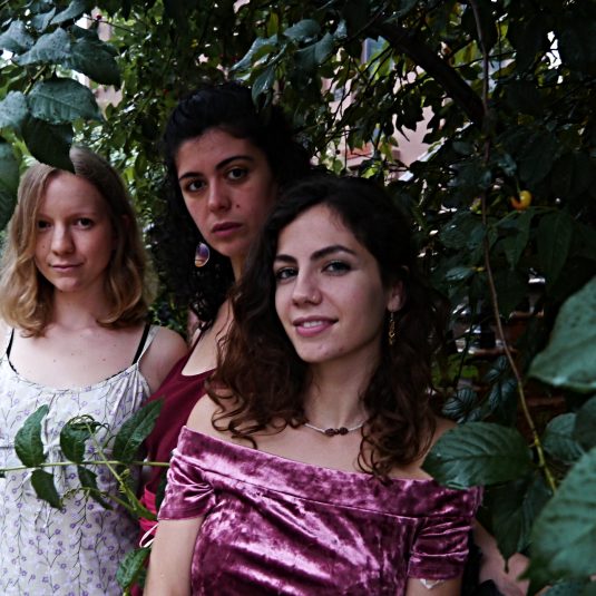 The Ladles, Bands do BK, Bands do Brooklyn, Brooklyn, NYC, Brooklyn music