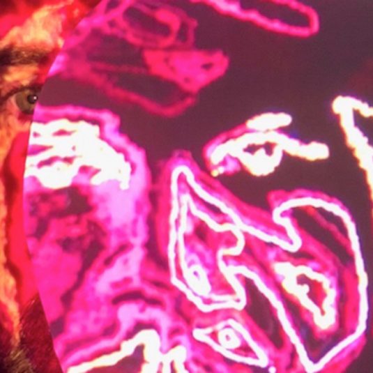 Jamison Wake, Bands do BK, Bands do Brooklyn, Brooklyn, NYC