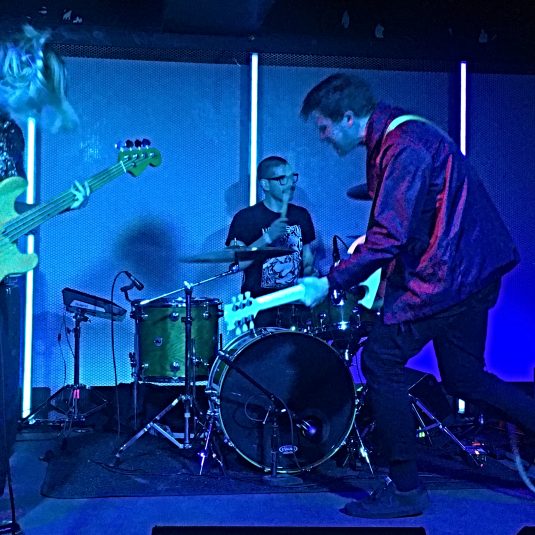 Sharkswimmer, Bands do BK, Bands do Brooklyn