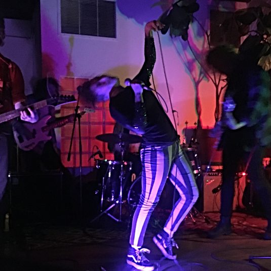 V0ID B0YS, Bands do BK, Bands do Brooklyn